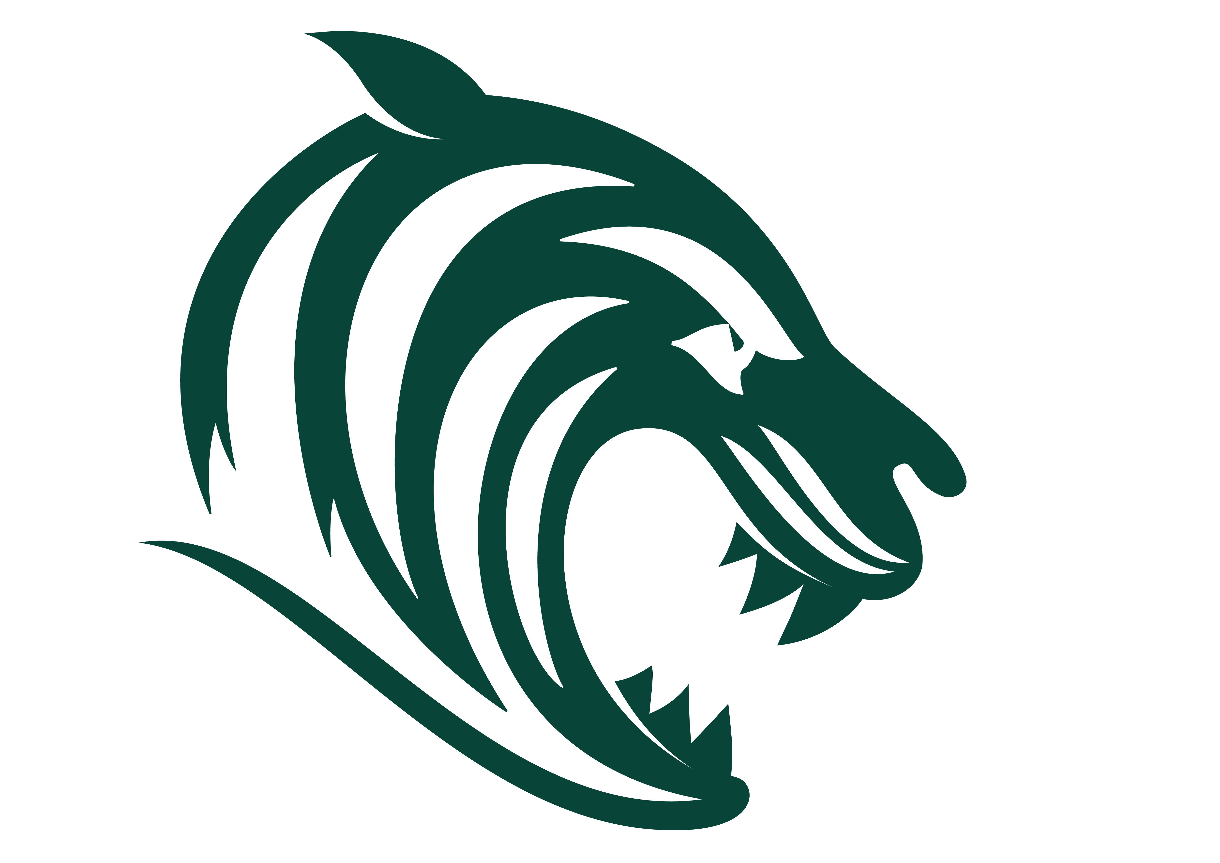Leicester Tigers crest